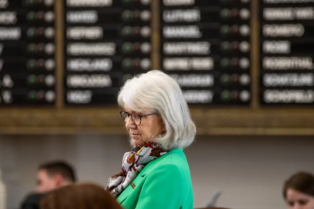 State Rep. Helen Kerwin, R-Glen Rose, on the House floor in Austin on May 31, 2025.