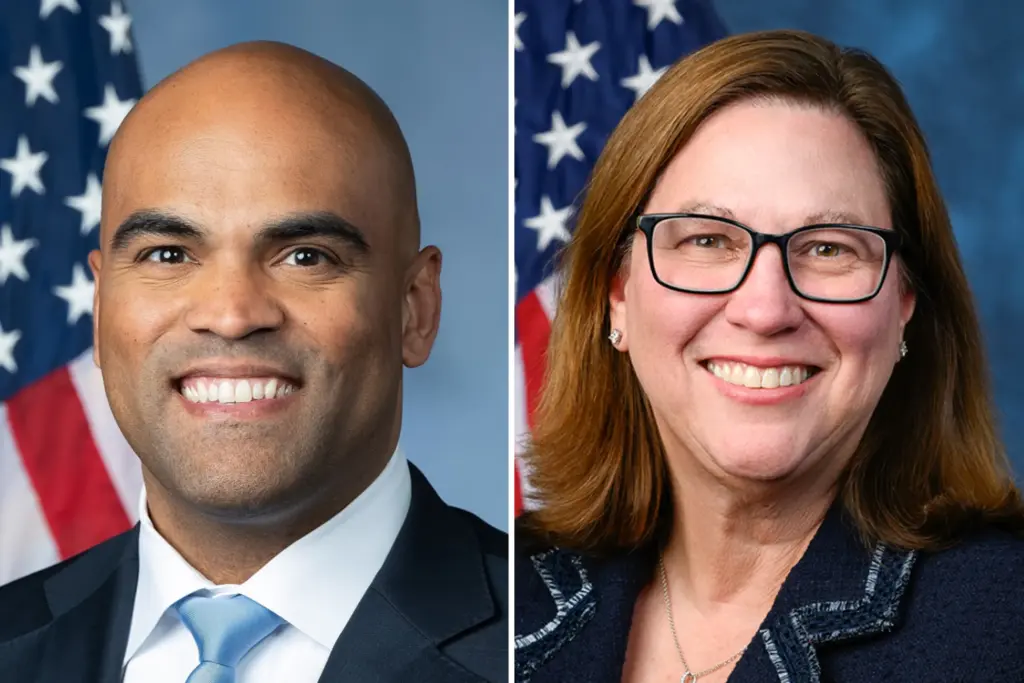 Texas’ 33rd Congressional District Democratic runoff: Who is running and what to know