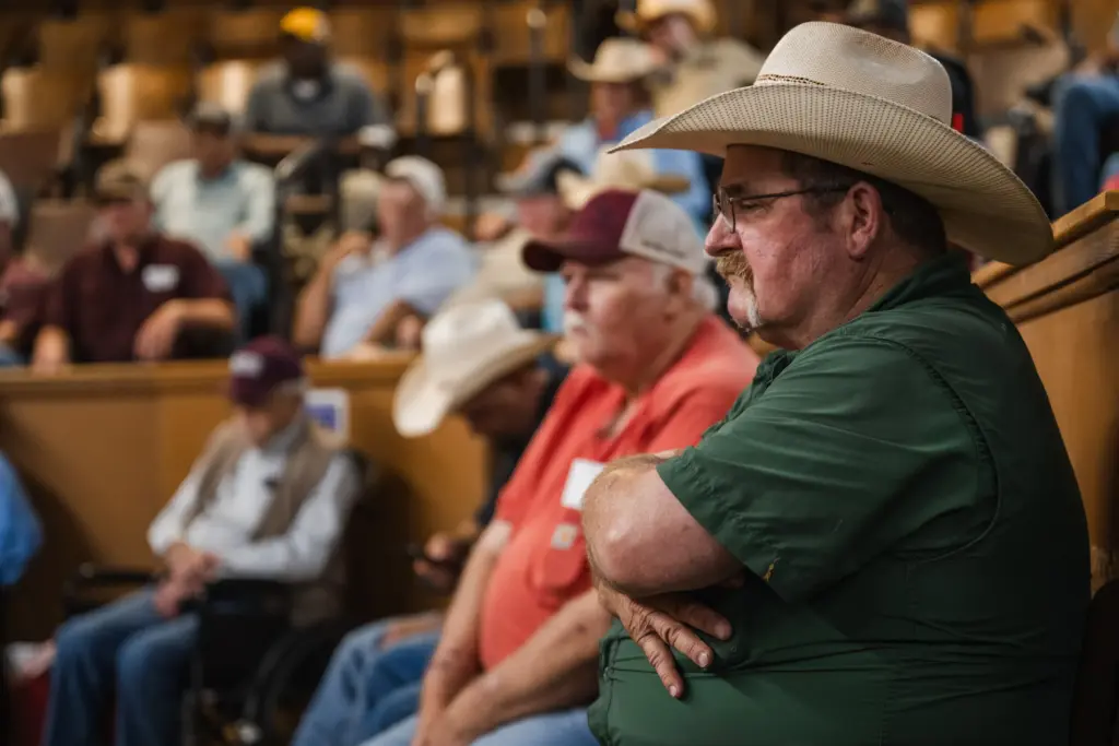 Garrett Rieger, inspector for the Texas Animal Health Commission (TAHC), watches the cattle move through the auction ring at the West Auction barn in West, Texas on June 11, 2026. Rieger’s brother is a state livestock inspector and was temporarily reassigned to South Texas to help monitor New World Screwworm.