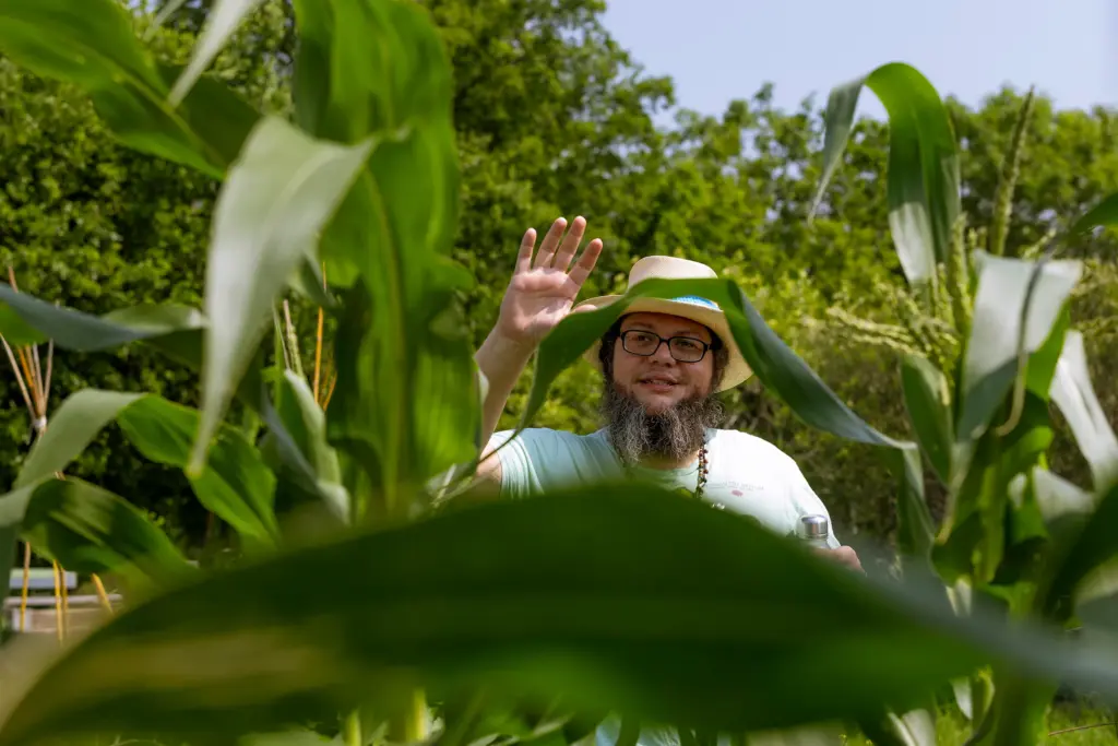 Doug Martin with the Central Texas Cherokee Township said the corn stalk has grown “as high as an elephant’s eye” at Cunningham Elementary school garden on April 27, 2026.