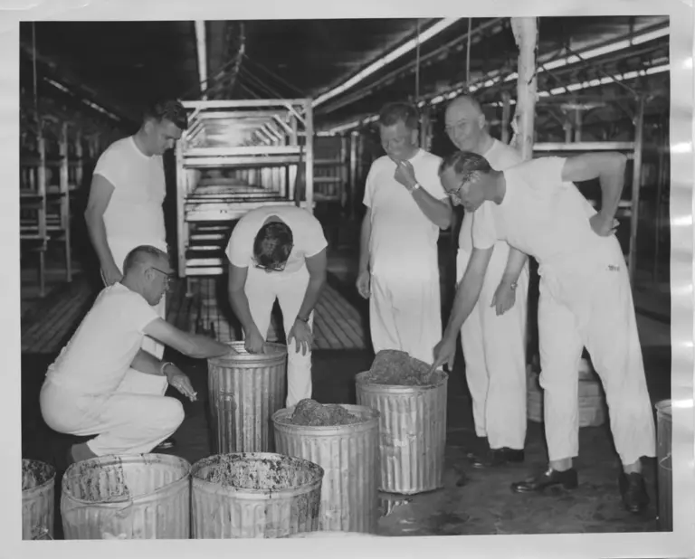 A United States Department of Agriculture photograph circa 1956-59 shows Edward F. Knipling (right, pointing) with colleagues inspecting ground meat.