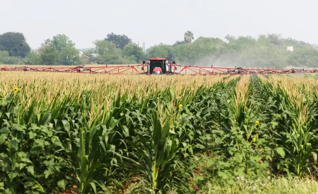 A tractor sprays a corn field for spider mites in Edinburg, Texas. Farmworkers rarely know what pesticides they are encountering in their work, so it’s hard for them to assess the dangers they face, or to determine whether their health problems are connected to those exposures.