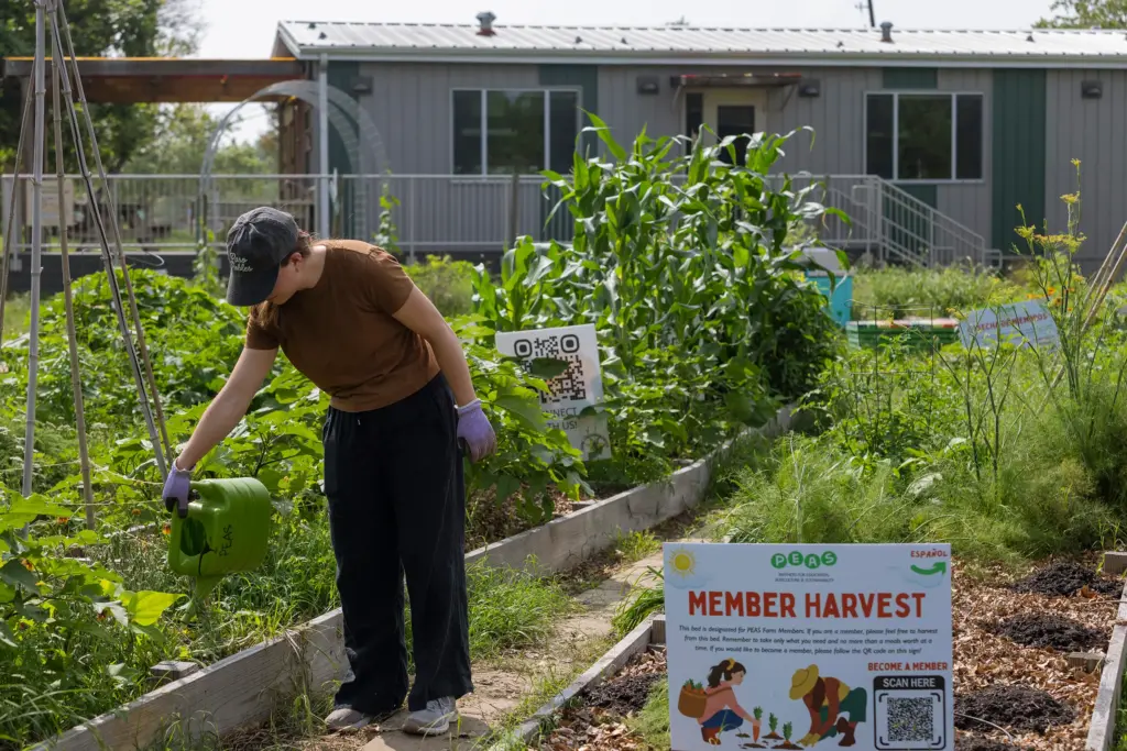 Volunteer Alexa Libro waters a garden bed at the Cunningham Elementary school garden on April 27, 2026.