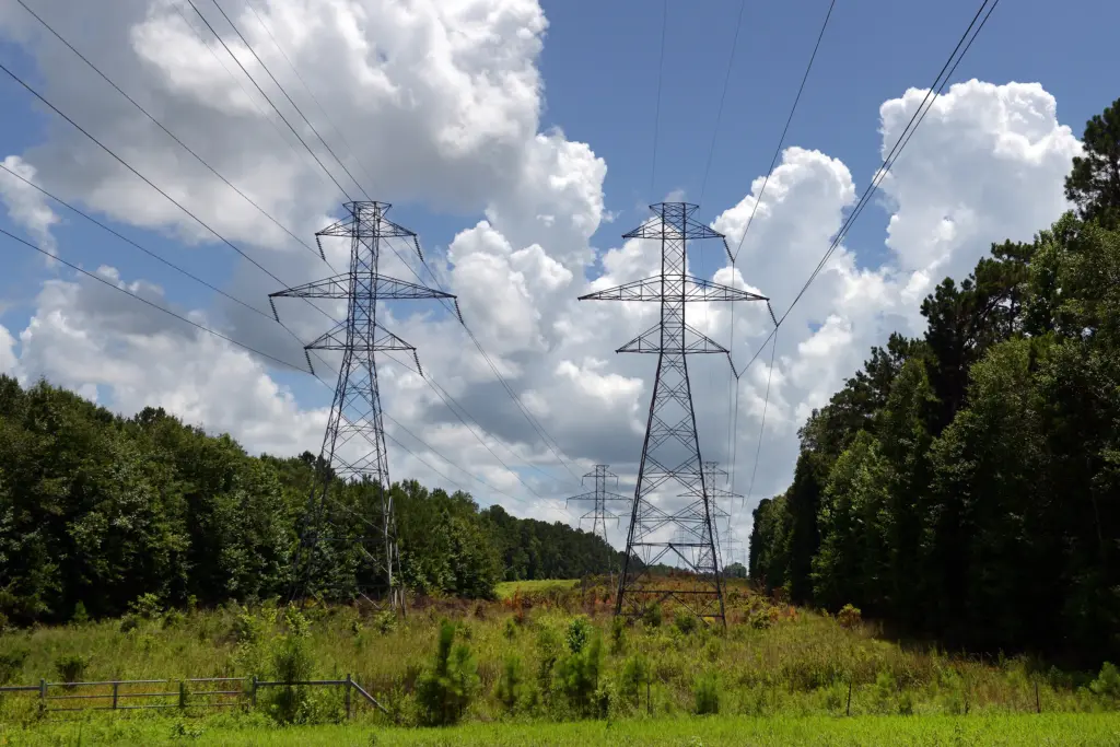 Power lines that cut through Kaesha Avishai's property near Lufkin, Texas, June 12, 2026. She has concerns about AI data centers potentially being constructed close to her home.